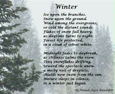 Winter An Original Poem About Winter Nature And Snow By Pamela