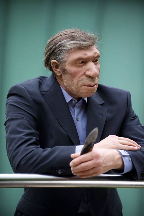 Lifelike Reconstruction Of A Neanderthal Man Neanderthal Museum