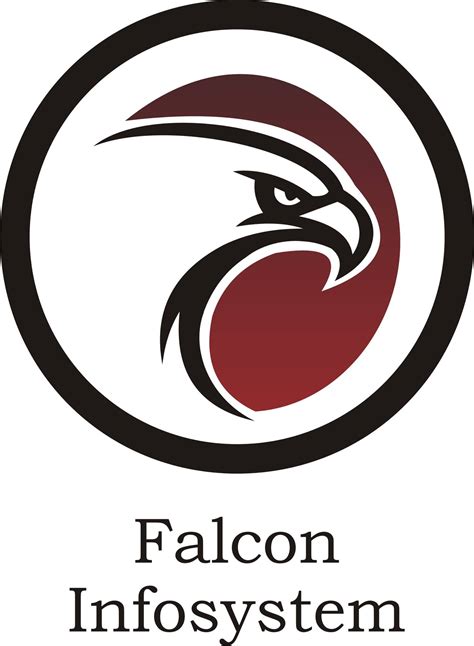 Falcon Infosystem Pune