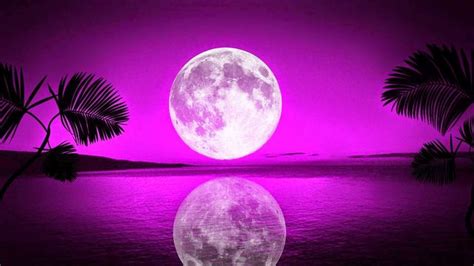 Full Moon Reflection Purple Sky Moon Images Beautiful Moon