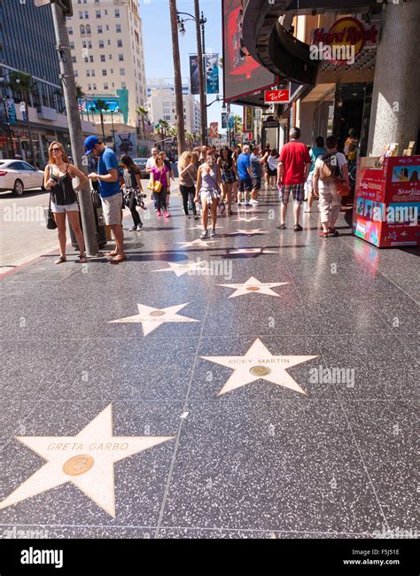 Walk Of Fame Or Hollywood Stars On Hollywood Boulevard In Los Angeles