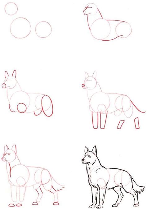 Learn To Draw Wolf Cómo Dibujar Un Lobo Como Dibujar Animales