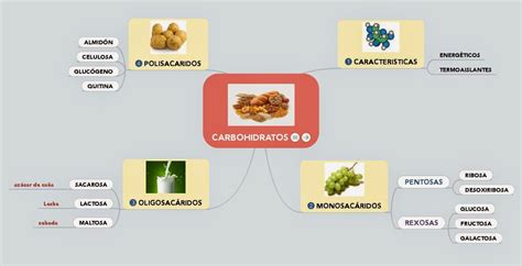 Mapa Mental Carbohidratos Productos Naturales Carbohidratos Kulturaupice