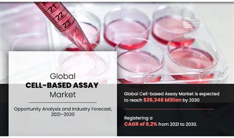 Cell Based Assay Market Reigning Supreme In Industry Dynamics CAGR 8