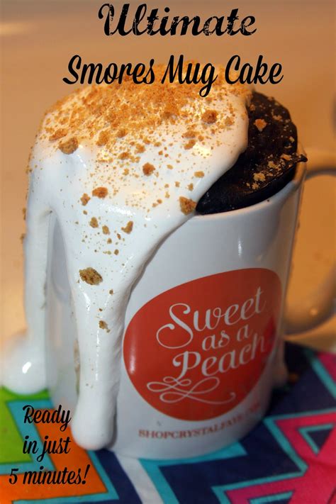For The Love Of Food Chocolate Fudge Smores Mug Cake