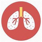 Icon Respiratory Lung Lungs System Anatomy Breathe