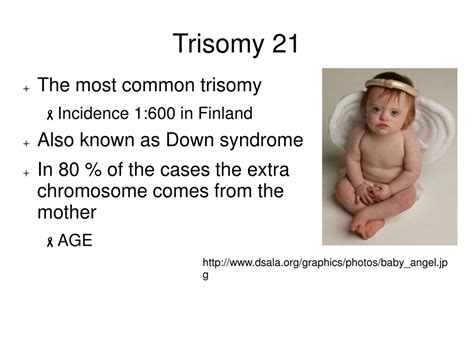Ppt Chromosome Disorders Numerical Abnormalities Powerpoint Presentation Id9104114