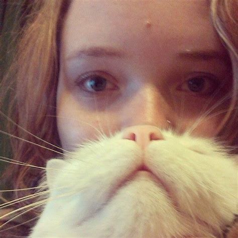 A Close Up Of A Person With A Cat In Front Of Their Face And A Moustache
