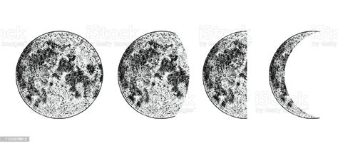 Realistic Moon Phases Image On White Background Hand Drawn Cycle Of
