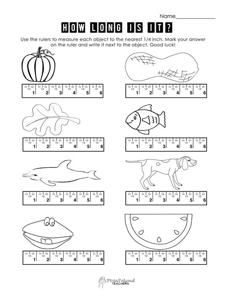 Ruler Measurement Worksheets