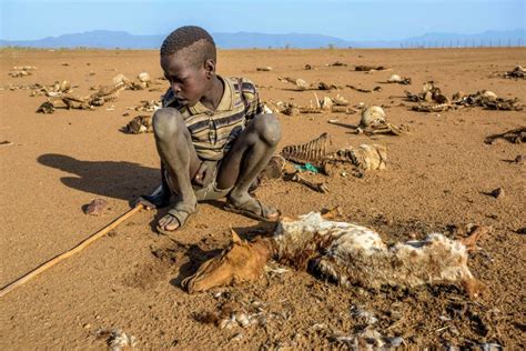 Starving children in africa are extremely vulnerable to disease. Weeks left to save East Africa's starving children: World ...