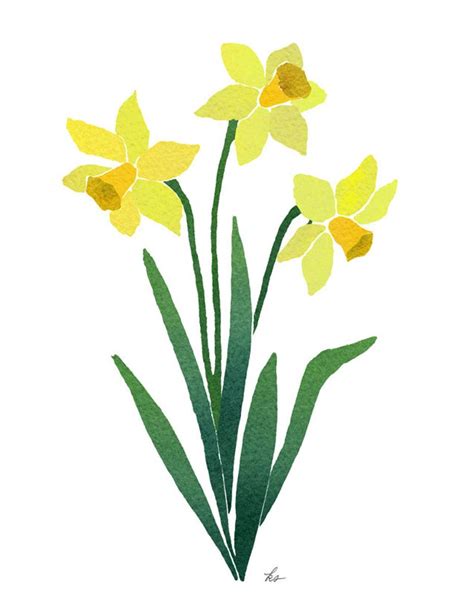 Narcissus Flower Drawing Free Download On Clipartmag
