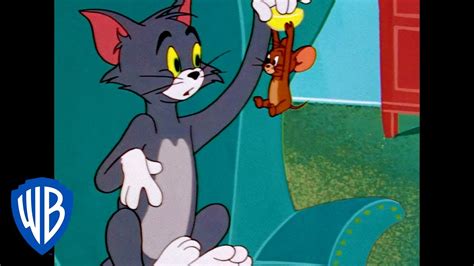 Tom and jerry is an american comedy slapstick cartoon series created in 1940 by william hanna and joseph relevant content. Tom & Jerry | Home Sweet Home! | Classic Cartoon ...
