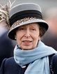 Queen Elizabeth's Only Daughter Princess Anne Warns Younger Royals to ...