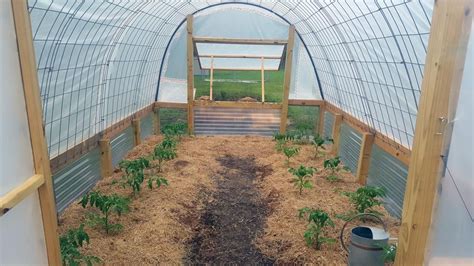 Building a greenhouse doesn't have to break the bank or be completely overwhelming. How to build a cattle panel greenhouse | Columns | scnow.com in 2020 | Greenhouse, Cattle panels ...