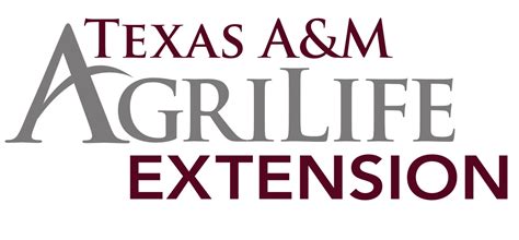 Texas Aandm Agrilife Extension Service To Offer Professional Food Manager