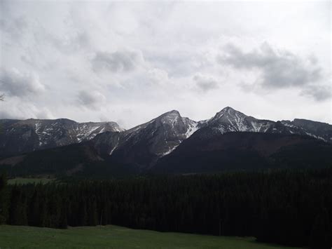 The Tatra Mountains And Forest Kivi Photo Bank Of Photos Cc0