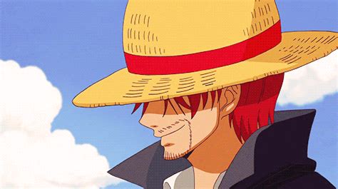 If Luffy didn't become a pirate part 1 | One Piece Amino