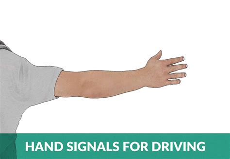 The 2 Hand Signals For Driving Explained A Drivers Guide