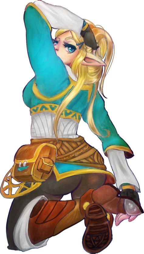 Download Link Set Zelda Botw Princess Zelda Botw Transparent Png