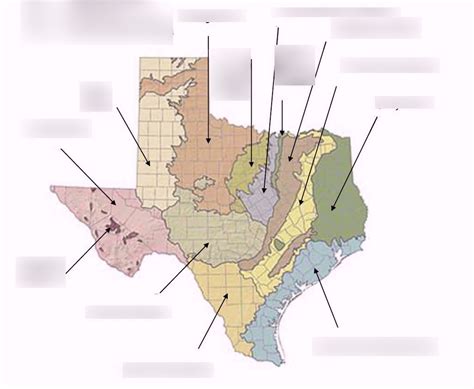 Texas Ecoregions Diagram Quizlet