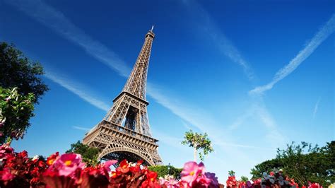 Eiffel Tower Building Architecture Flowers Paris