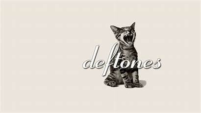 Cat Deftones Rock Metal Alternative Heavy Experimental