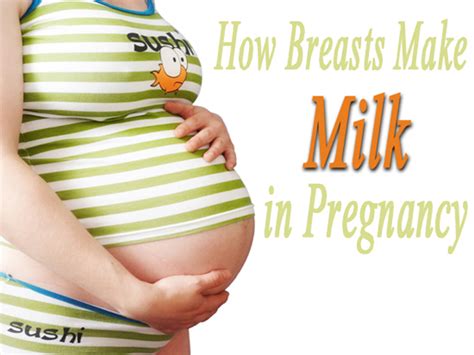 Miracle Of Breast Milk How Your Breast Makes Milk In Pregnancy