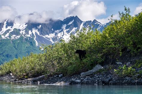 Kenai Fjords National Park — The Greatest American Road Trip
