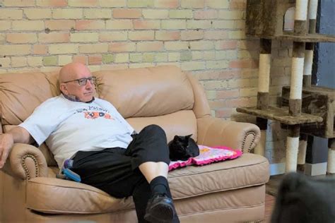 Napping Cat Grandpa Helps Raise Thousands For Shelter Wants Us To Know