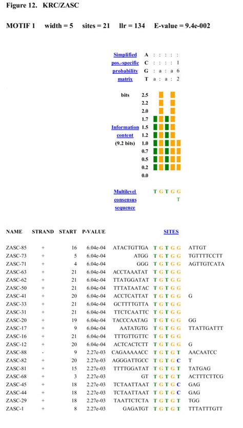 zas c selected sequence meme motif search and alignment n 5 motif download scientific