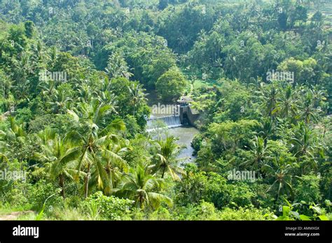 Jungle Dam And Waterfall Ubud Bali Indonesia Stock Photo Alamy