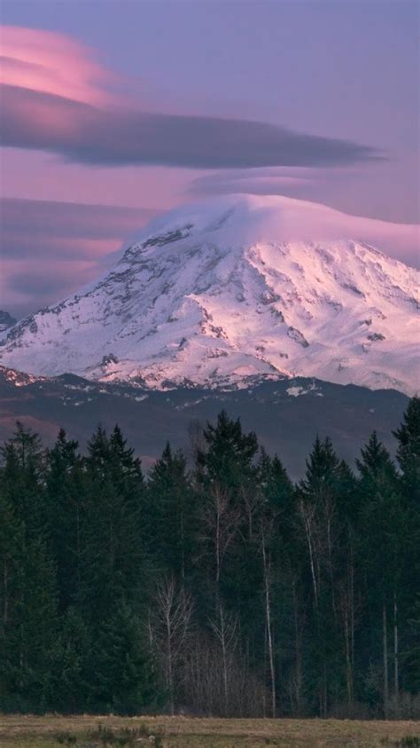 Free Download Mount Rainier Seattle Forests Landscapes Mountains