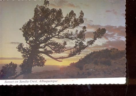 Sunset On Sandia Crest Albuquerque New Mexico Postcard 741