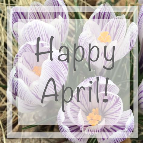 Happy April Welcome To The New Website