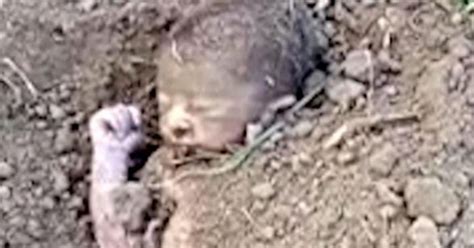 Worker Spots Face Sticking Out From Ground Finds Baby Buried Alive In