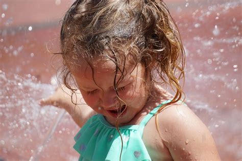 Soaked Smithsonian Photo Contest Smithsonian Magazine