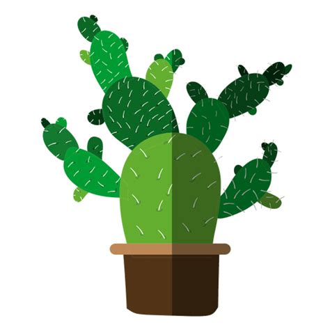 Multiple Flat Cactus Pot Drawing Transparent Png And Svg Vector File