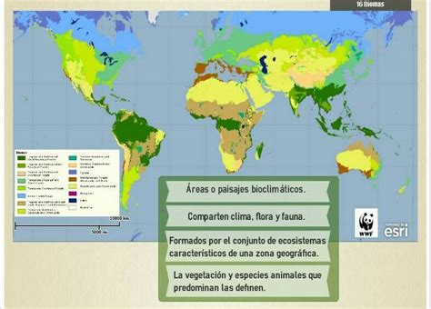 Alas pagar físico mapa de los biomas del mundo arbusto mensual equipaje