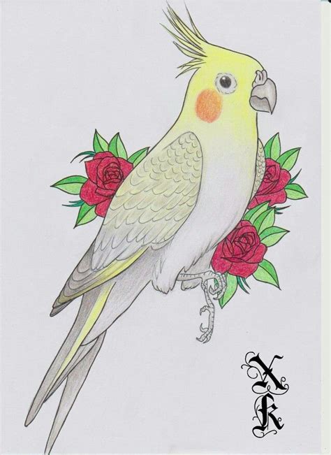 We found for you 15 pictures from the collection of cockatiel coloring pencil! 55 best Cockatiel Art images on Pinterest | Bird art ...