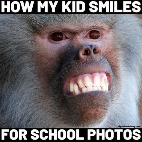 25 Funny Monkey Memes Youll Totally Fall In Love With Ultima Status