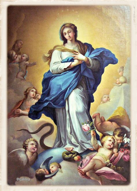 Testimonios Para Crecer Solemnidad De La Inmaculada Concepción De María 8 De Diciembre