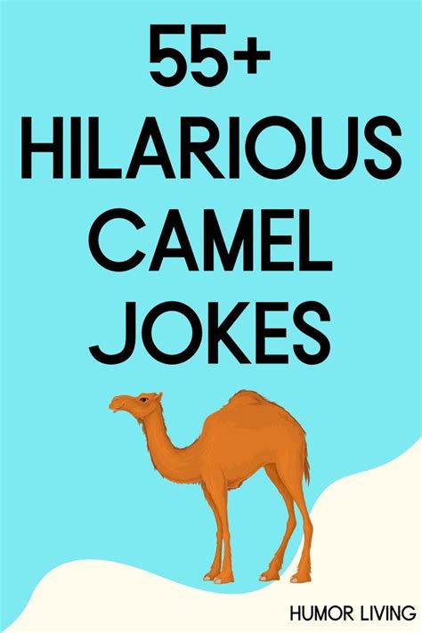 55 Hilarious Camel Jokes To Get You Through Hump Day Artofit