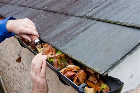5 Roof Maintenance Tips From Our Roofing Company In Denver