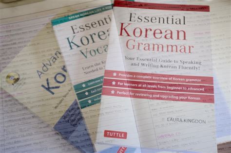 Review Essential Korean Grammar Hangukdrama And Korean Review