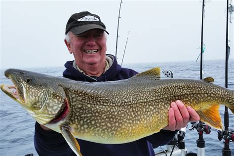 Lake Trout The Forgotten ‘kings Of Lake Michigan Midwest Outdoors