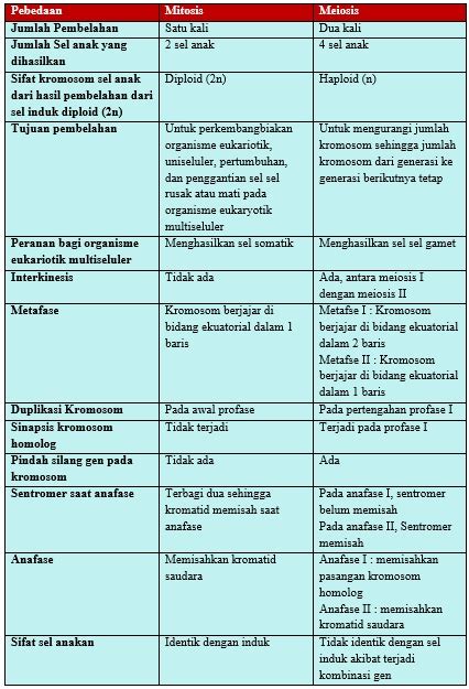 Berikut Ini Perbedaan Mitosis Dan Meiosis Yang Tep