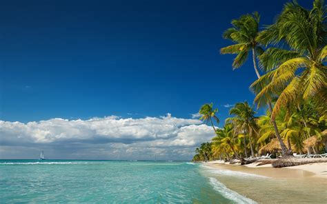 Landscape Nature Island Beach Palm Trees Sea Summer Clouds Tropical