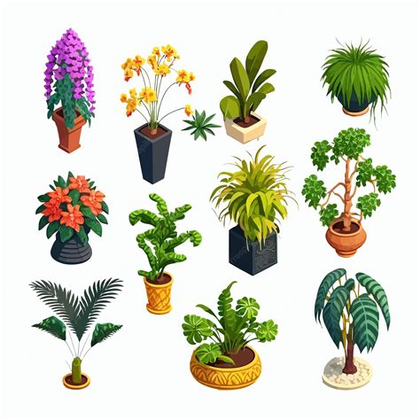 Premium Vector House Plants And Flowers In Pots For Home Interior