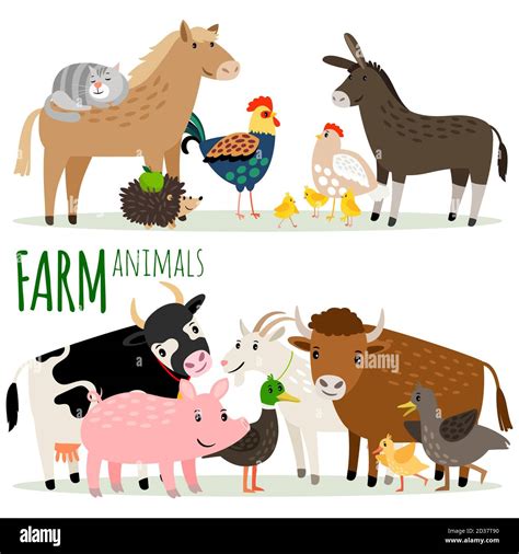 Bauernhof Tiere Cartoon Figuren Vektor Gruppen Auf Weißem Hintergrund